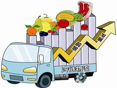 生鲜背后的大动脉 农产品冷链物流如何重塑中国的餐桌革命